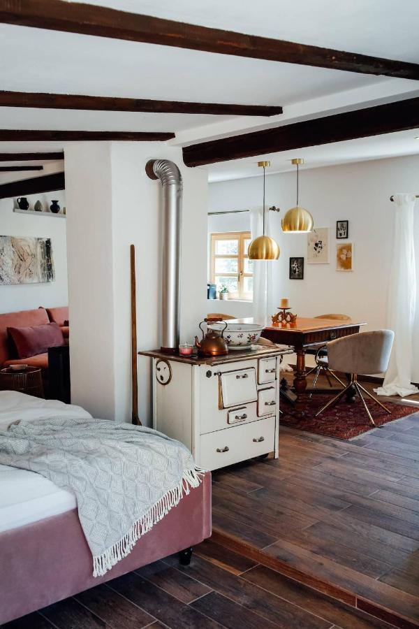 Apartment Aussee- Atelier Salzherrenhof- Kueche, Wlan, Netflix Bad Aussee Bagian luar foto